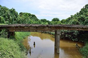 The old Vunivaivai Bridge