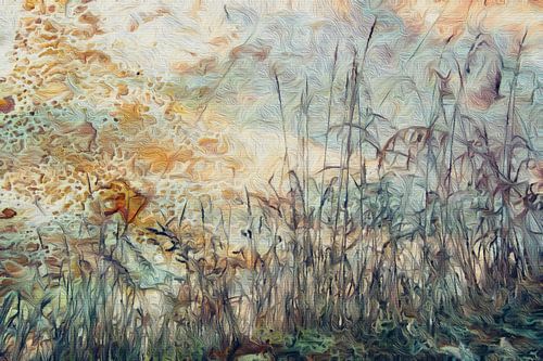 Morgenwiese Impression