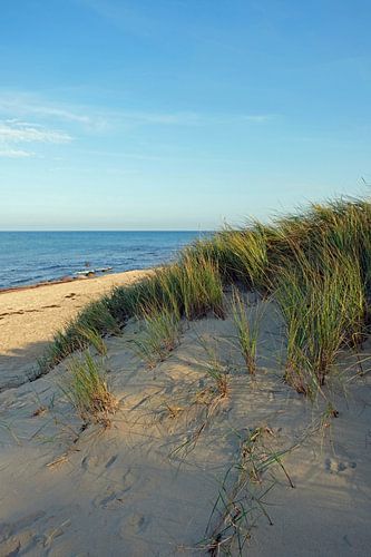 Autumn Dunes by Ostsee Bilder