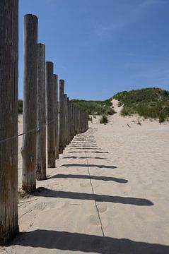 Shadows van Peter Bartelings