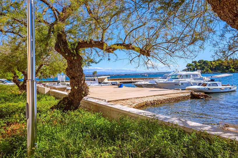 Croatia : Preko on the island of Ugljan by Photoart-Naegele