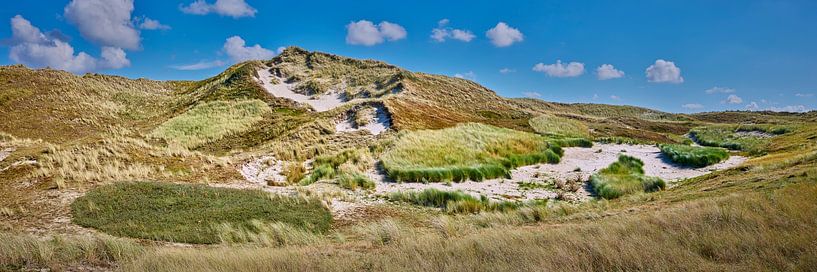 Julianadorp la belle dune le long de la côte de la mer du Nord par eric van der eijkj