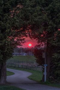 Rode zonsondergang von Moetwil en van Dijk - Fotografie