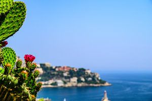 Blick auf Nizza vom Colline du Château an einem Sommertag.