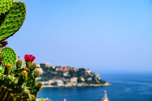 Vue sur Nice depuis la Colline du Château lors d'une journée d'été.