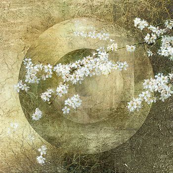 Blossom. Japandi style. Wabi-Sabi. 2