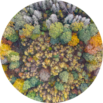 Herfstkleuren van bovenaf van Jeroen Kleiberg