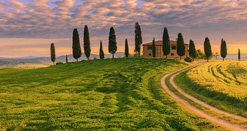Podere I Cipressini, Toscane, Italie sur Henk Meijer Photography