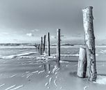 Noordzee magie II van Kirsten Warner thumbnail