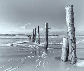 North Sea magic II by Kirsten Warner