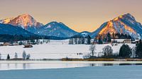 Hopfen am See, Allgäu, Bayern, Deutschland von Henk Meijer Photography Miniaturansicht