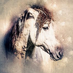 Porträt eines zähen konik pferd (Kunst)