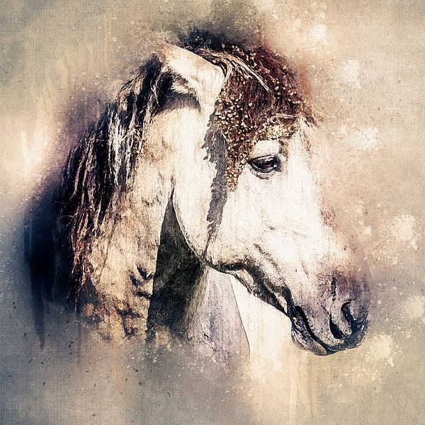 Porträt eines zähen konik pferd (Kunst) von Art by Jeronimo