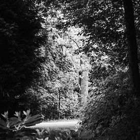 Doorkijk in Arnhem in zwart-wit van joost bosmans