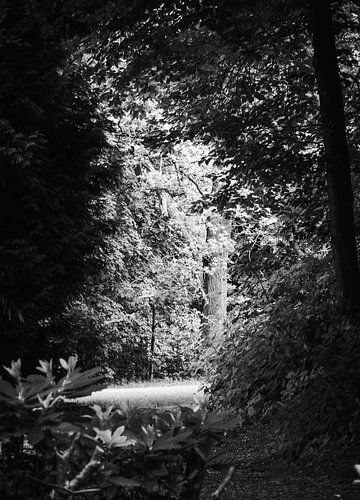 Doorkijk in Arnhem in zwart-wit van joost bosmans
