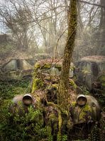 Lost Citroen