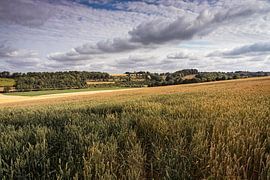Ransdalerveld près d'Elkenrade