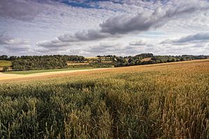 Ransdalerveld bei Elkenrade