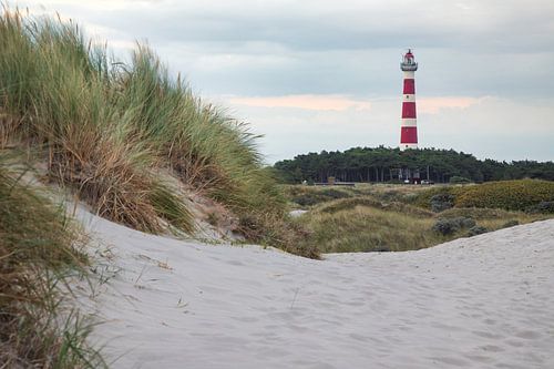 Blick auf den Leuchtturm von Ameland von Meindert Marinus