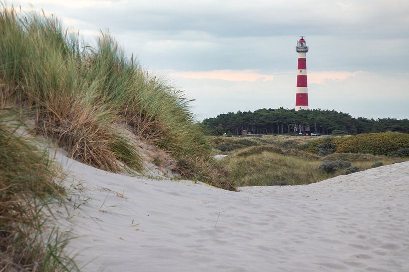 Blick auf den Leuchtturm von Ameland von Meindert Marinus