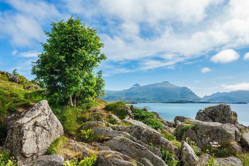 Mountains on the Lofoten Islands in Norway by Rico Ködder