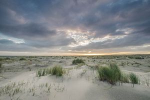 Zandduinen op Ameland van Niels Barto
