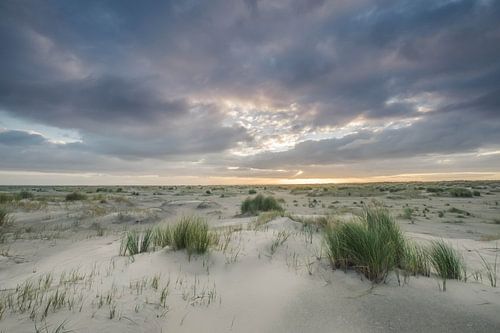 Zandduinen op Ameland