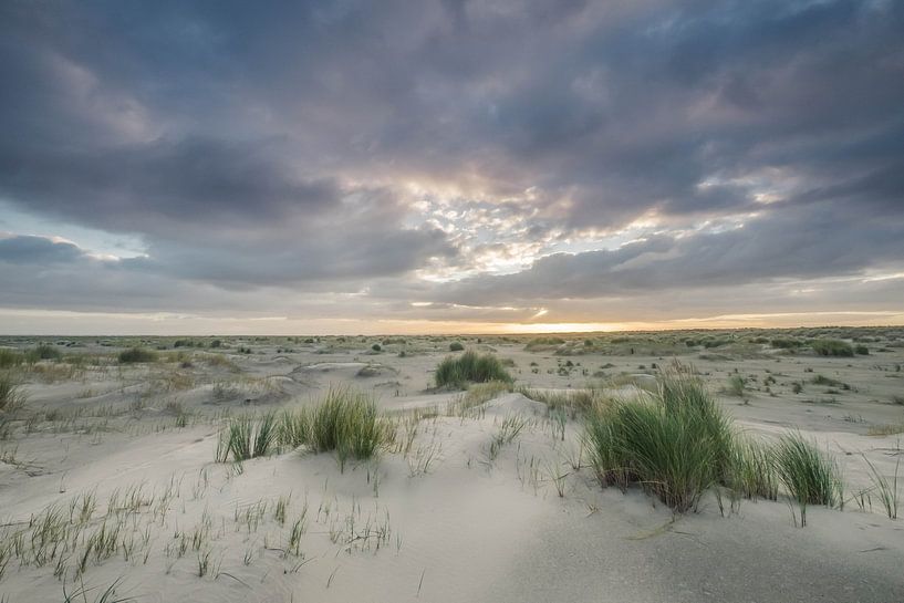 Zandduinen op Ameland von Niels Barto