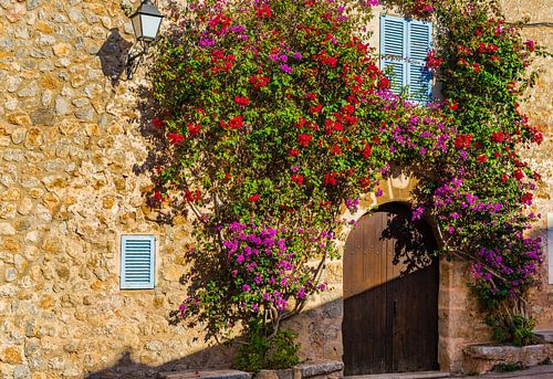 Idyllisch mediterraans huis met prachtige bougainvillea bloemen aan de muur