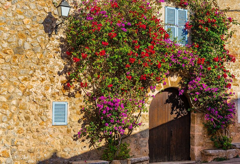 Idyllisches mediterranes Haus mit schönen Bougainvillea-Blumen an der Wand von Alex Winter