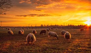 Zonsopkomst in Bocholtz
