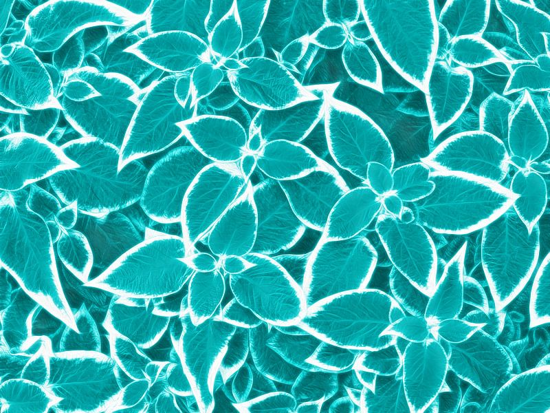 Leaves in Petrol by Caroline Lichthart