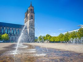 Magdeburg - Wasserspiele auf dem Domplatz von t.ART