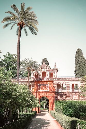 Poort naar de stilte | Real Alcázar de Sevilla