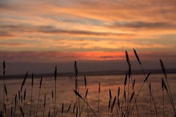 Sonnenaufgang - Nordsee von Max Stefens
