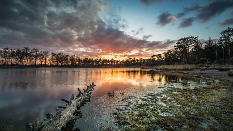 Buntven by Harold van den Hurk