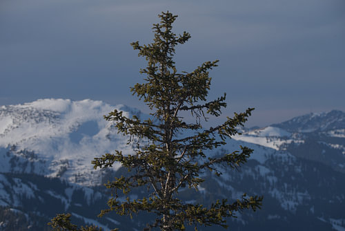 Impressionen aus dem Allgäu