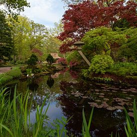 Japanse tuin in bloei van Michiel Mos