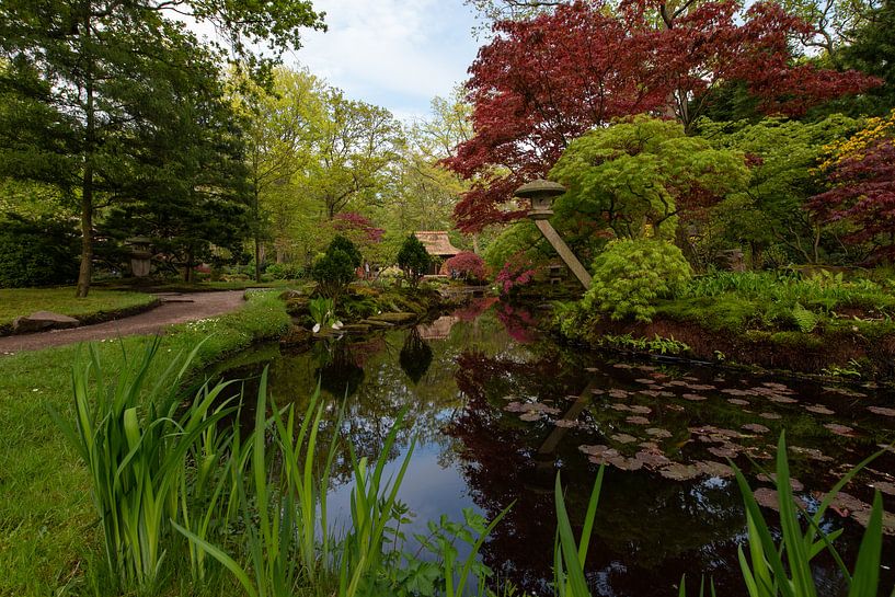 Japanse tuin in bloei von Michiel Mos