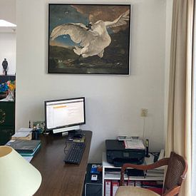 Customer photo: The endangered swan, Jan Asselijn, on canvas