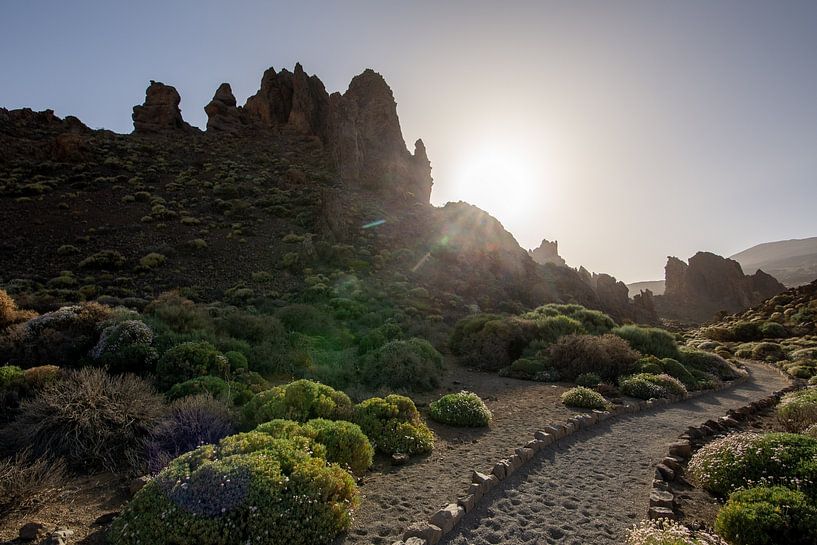 Teide par Dennis Eckert