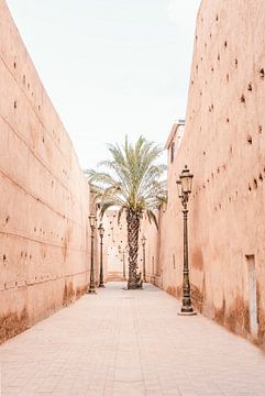 Palme in die Altstadt von Marrakesh von Leonie Zaytoune
