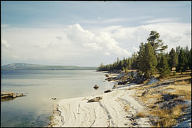 Yellowstone-Nationalpark, Wyoming (2024) von Finn Schouten