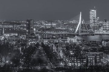 Skyline Rotterdam vanaf de Euromast | Tux Photography - 4