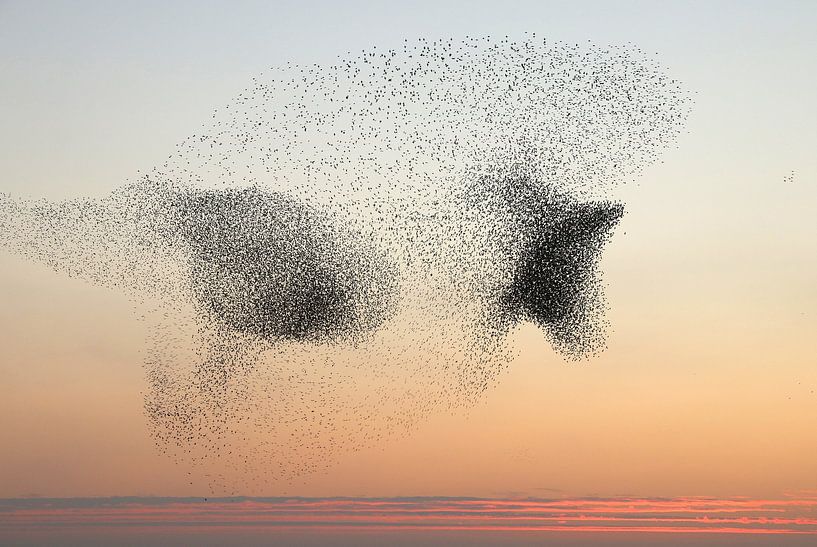On the move by Trudy M. Simons-Pos