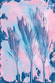 Herbe bleue sur Author Sim1