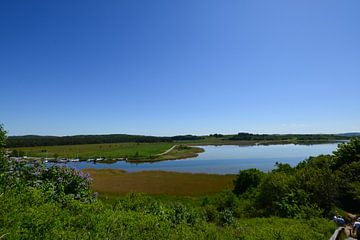 Port de Moritzdorf - rempart de Baabe