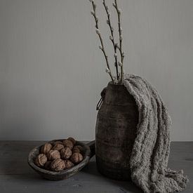 Ländliches Stillleben mit Weidenkätzchen und Walnüssen von Mayra Fotografie