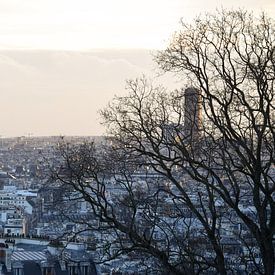 Blick über Paris von Esmée van Eijk