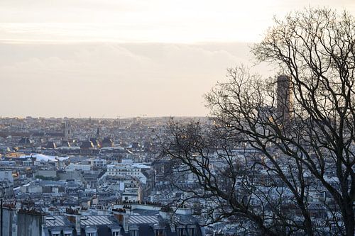 Blick über Paris